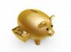 Photo for Gold IRA Company Reviews by MBS Gold