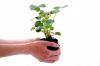 Photo for Agricultural Inoculants Market analysis and drive growth by 2023