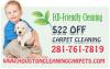Photo for Houston Cleaning Carpets TX