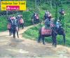 Photo for Travel to the intact nature
