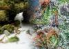 Photo for CannaMart