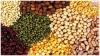 Photo for Oilseed Market: Global Industry Analysis, Share and Forecast 2024