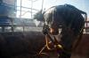 Photo for Soda Blasting Remediation of Smoke Damage