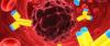 Photo for Tumor Necrosis Factor Alpha Market Estimation of Top Key Players Shares, Revenue, Analysis and Forecasts Till 2023