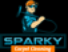 Photo for Sparky Carpet Cleaning