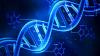 Photo for Increasing Use of Synthesized Oligonucleotides in Molecular Diagnostics and Clinical Applications