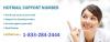 Photo for Contact 1-(833)-284-2444 Hotmail Support Number