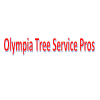 Photo for Olympia Tree Service Pros
