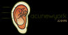 Photo for acunewyork