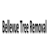 Photo for Bellevue Tree Removal