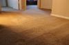 Photo for Indianapolis Carpet Repair