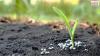 Photo for Nitrogenous Fertilizers Outlook, Growth Prospects and Key Opportunities 2024