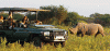 Photo for African Safari Holidays