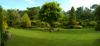 Photo for Diaz Tree Service