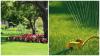 Photo for Sungarden Professional Lawn