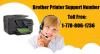 Photo for Brother Printer Support USA