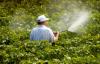 Photo for Pesticides Market Growth, Trends and industry Analysis 2024