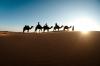 Photo for Luxury Desert Camp Merzouga, Your Morocco Tour Guide