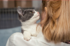 Photo for Central Houston Animal Hospital