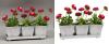 Photo for Best Clipping path service