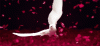 Photo for Extreme bring back of true lost lover spell caster+27633452385 @ prof mamakate