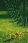 Photo for Foster's Lawn Care Service
