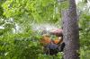 Photo for MARTINEZ TREE SERVICE OPEN NOW