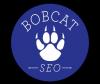 Photo for Bobcat Seo