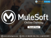 Photo for mulesoft online training