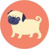 Photo for StoragePug