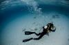Photo for Scuba Diving Training