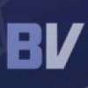 Photo for Boston Vitality