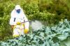Photo for Botanical Pesticides Market analysis and drive growth by 2023