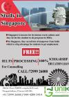 Photo for STUDY IN SINGAPORE | UNIK Global Services