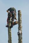 Photo for Justin’s The Stump Master