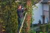 Photo for Tree Removal Seattle