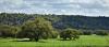 Photo for Dominion Properties - Kerrville, TX