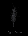 Photo for Fig + Farro