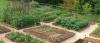 Photo for Survival seed bank