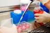 Photo for Cell Culture Market : Drivers, Restraints, Opportunities, and Challenges