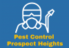 Photo for Pest Control Prospect Heights