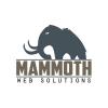 Photo for Mammoth Web Solutions