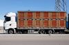 Photo for Hopf Trucking LLC