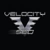 Photo for Velocity SEO