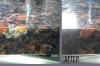 Photo for Fort Collins Granite Repair, LLC