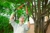 Photo for Carolina Tree Service