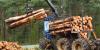 Photo for VCR FORESTRY