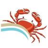 Photo for oregons adventure coast