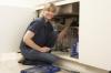 Photo for Inglewood Pronto Plumbers