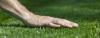 Photo for Town and Country Lawn Care Services - Blanchard